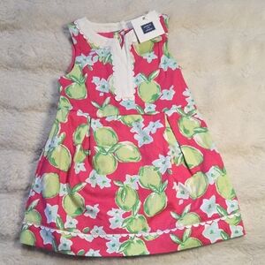 Janie and Jack Vibrant Pink Dress with Green and White Floral Design